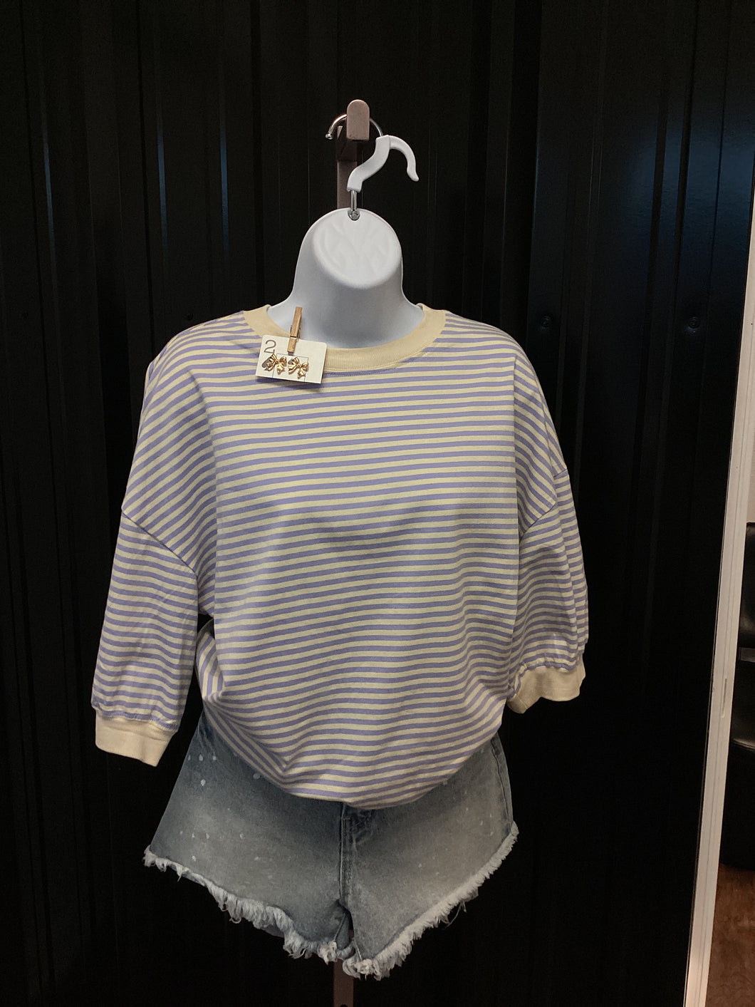 Blue/White Stripe Crew Neck Top